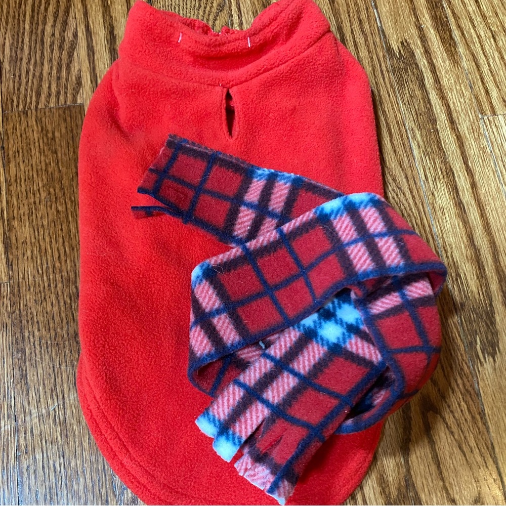 Dog sweater and scarf